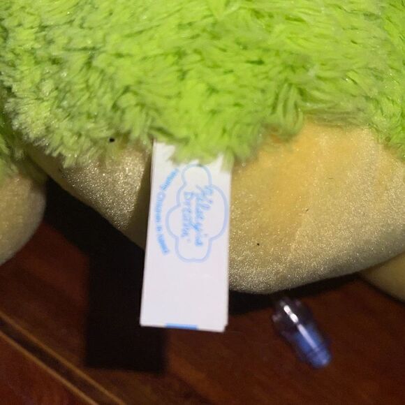 Hopper The Cancer Crusher 11” Frog Plush by Kelsey’s Dream Helping Kids in Need - Picture 12 of 16
